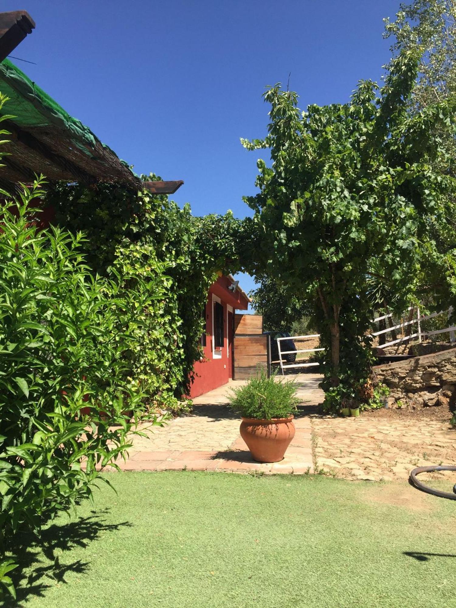 Ferienhaus Ponce De Leon